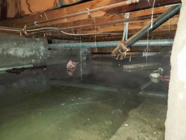 Best Water damage restoration process  in Herscher, IL
