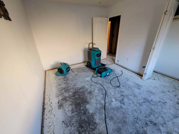 Best Basement water damage restoration  in Herscher, IL