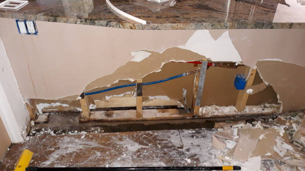 Best Flood damage cleanup  in Herscher, IL