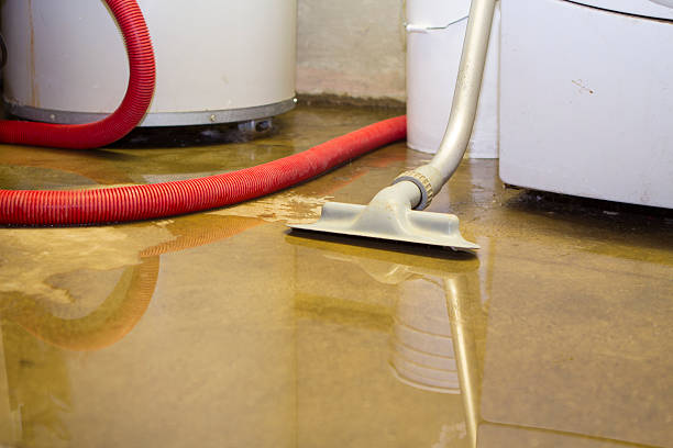 Best Water damage mitigation services  in Herscher, IL
