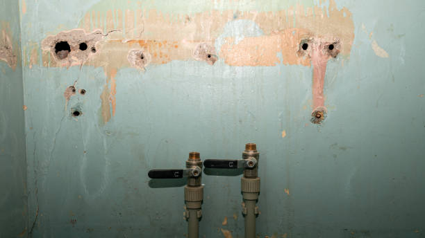 Best 24-hour water damage restoration  in Herscher, IL