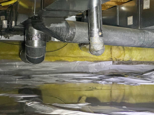 Best Professional water damage repair  in Herscher, IL