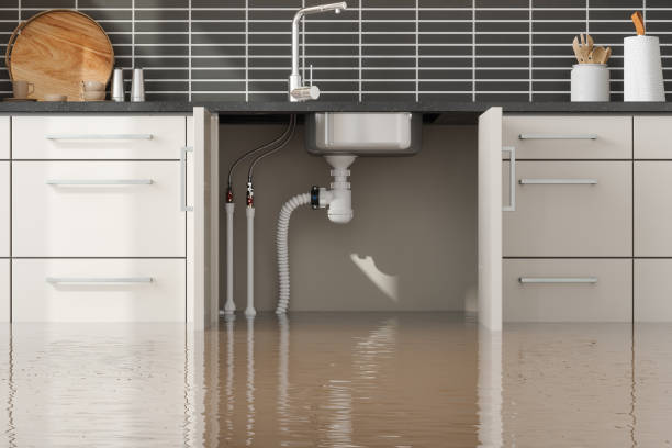 Best Residential water damage restoration  in Herscher, IL