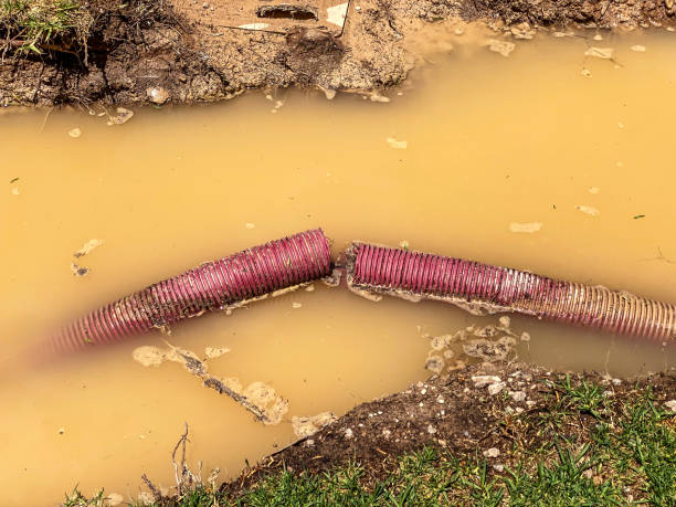 Water damage restoration experts in Herscher, IL