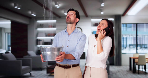 Best Ceiling water damage repair  in Herscher, IL